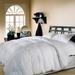 Hotel Grand Oversized Damask Stripe White Down Comforter