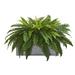 Boston Fern Artificial Plant in Stone Planter - h: 30 in. w: 18 in. d: 24 in