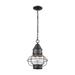 Elk Home Onion Oil Rubbed Bronze With Seedy Glass 1 Light Hanging
