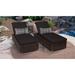 Venice Chaise Set of 2 Outdoor Wicker Patio Furniture