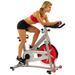 Sunny Pro Indoor Cycling Bike