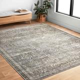Alexander Home Isabelle Shabby Chic Vintage Distressed Printed Area Rug