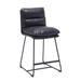 Lana 26" Counter Stool(Set of 2)