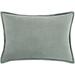 Porch & Den Penniman Hartford Velvet Cotton Lumbar Pillow