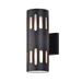 Black/Gold 2-light Die-cast Aluminum Cylindrical Outdoor Wall Sconce