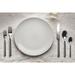 Fantasia Vicuna 5-piece Stainless Steel Flatware Set