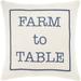 Santiago Cream & Navy Modern Farmhouse Throw Pillow Cover (20" x 20")