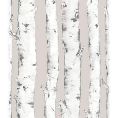 Downy Birch Peel & Stick Wallpaper - 198in x 20.5in x 0.025in