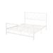 Francoise Modern Iron King Bed by Christopher Knight Home