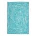 Ocean's Edge Braided Indoor/ Outdoor Area Rug