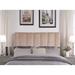 Chic Home Anwar Velvet Upholstered Vertical Striped Headboard