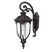 Acclaim Lighting Laurens Collection Wall-Mount 1-Light Outdoor Black Coral Light Fixture
