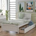 Three Posts™ Teen Camron Twin 2 Drawer Solid Wood Platform Bed Wood in White | 37.5 H x 42 W x 80 D in | Wayfair 3E06F3FE8F4A46F6A7ED2321217719EC