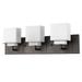 Acclaim Lighting Rampart 22 Inch 3 Light Bath Vanity Light - IN41331ORB