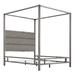 Solivita Black Nickel Canopy Bed by iNSPIRE Q Bold