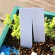 100 pièces Étiquettes imperméables pour plantes de jardin en PVC marqueurs pour Pots de fleurs