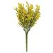 Array Astilbe Bush Yellow - 10" high by 5" wide.