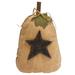 Grungy Fabric Cream Pumpkin w/Star - 9"(H),2"(W)