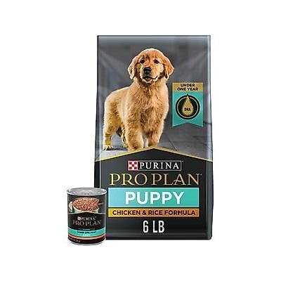 Purina Pro Plan Puppy Chicken & Rice Formula Dry Food