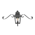 Hinkley Nouvelle Outdoor Cage Wall Sconce - 2770BLB-SCR