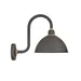 Hinkley Foundry Dome Tall Gooseneck Outdoor Wall Sconce - 10564MR