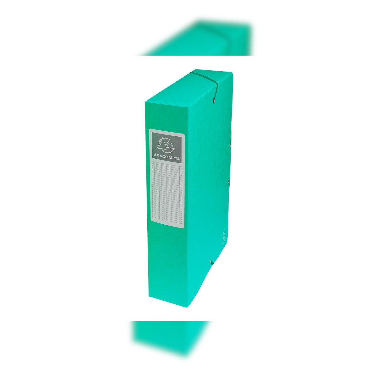 Exacompta 50603E 8x Archivbox aus Colorspan-Karton 600g, Rückenbreite 60mm mit Etikett, 25x33cm für DIN A4 - Grün Image