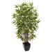 5-foot Bamboo Silk Tree w/Planter