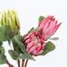 FloralGoods Artificial Protea Cynaroides Flower Stem 26" Tall