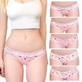 Littleforbig Women's Ladies Soft Cotton Underwear Comfortable Hipster Briefs 5 Pack Panties Set - Usagi Pattern - pink - S