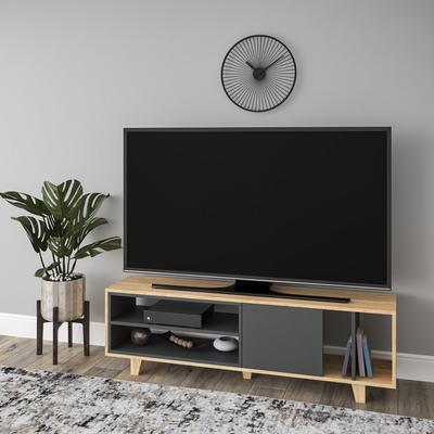 Rosmar Modern TV Stand - 18.5'' H x 63'' W x 13.8'' D