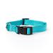 The Classic Turquoise Webbed Nylon Dog Collar, Large/X-Large, Teal