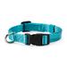 The Classic Turquoise Webbed Nylon Dog Collar, Small, Teal
