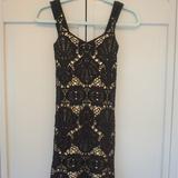 Free People Dresses | Free People Lace Bodycon Dress | Color: Black/Cream | Size: Xs