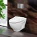 Toilet Combo Set - 20" Toilet Bowl With Soft-Close Seat, 2"x 4" Concealed Tank And Carrier System, Push Buttons Included.