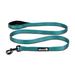 Blue Adventure Dog Leash, 72" L, Large