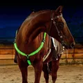 Ceinture d'équitation en nylon SFP LED équipement d'équitation visible la nuit plastron cheval