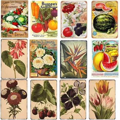 Plaque décorative vintage en métal fruits fleurs plantes jardin supermarché salon maison