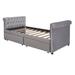 Rosdorf Park Cabool Twin Daybed Upholstered/Velvet in Gray | 38.1 H x 42.5 W x 83.4 D in | Wayfair 0908BF38C3264BEDB152B41A50E762A4