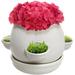 Red Barrel Studio® Indoor Decorative Ceramic Flower Pot Plant Ceramic in White | 5.75 H x 6.25 W x 6.25 D in | Wayfair