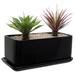 Wrought Studio™ Alizzon Ceramic Indoor Flower Pot Planter Ceramic in Black | 4.25 H x 10.25 W x 5.25 D in | Wayfair