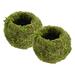 Bay Isle Home™ Bumgarner Pot Planter Natural Fibers, Metal in Green | 3.5 H x 4 W x 4 D in | Wayfair 6AD443C4FDF449EB9F7173C66DAB78F8