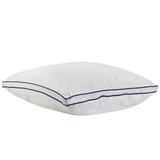 Alwyn Home Water Sleeping Pillow Polyester/Fiber/Memory Foam/Cotton Blend | 17 H x 26 W x 6 D in | Wayfair 020E46D2E382487982A7FF19C1048031