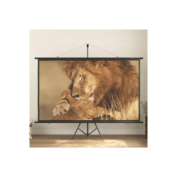 inbox-zero-projection-screen-home-theater-screen-pull-down-in-white-|-53.15-h-x-88.98-w-in-|-wayfair-909e1a76173f465bbfd69f714938c06b/