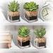 Freeport Park® 4 - Piece Artificial Succulent Plant in Pot Set Glass/Plastic | 5 H x 2.75 W x 2.75 D in | Wayfair 0D260FBAF2EB46D687AE54508B68C9B2