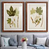 August Grove® Antique Leaves V - 2 Piece Picture Frame Painting Print Set on Paper in Black/Blue/Green | 1.5 D in | Wayfair