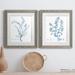 Gracie Oaks Antique Botanical in Blue VII - 2 Piece Picture Frame Painting Print Set on Paper in White | 24 H x 36 W x 1.5 D in | Wayfair