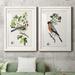 Red Barrel Studio® Antique Bird, Botanical & Egg III - 2 Piece Picture Frame Painting Print Set on Paper in White | 31.5 H x 47 W in | Wayfair