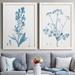 August Grove® Antique Botanical In Blue III - 2 Piece Picture Frame Painting Set on Canvas in White | 31.5 H x 47 W in | Wayfair