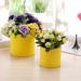 Ebern Designs Nicolaus 2-Piece Ceramic Pot Planter Set Ceramic in Yellow | 5.5 H x 5.9 W x 5.9 D in | Wayfair ED681800085346C4947E02BA17293908