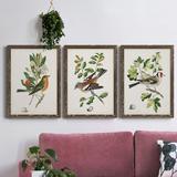 Red Barrel Studio® Antique Bird, Botanical & Egg I - 3 Piece Picture Frame Painting Set on Canvas in Black/Blue/Green | Wayfair